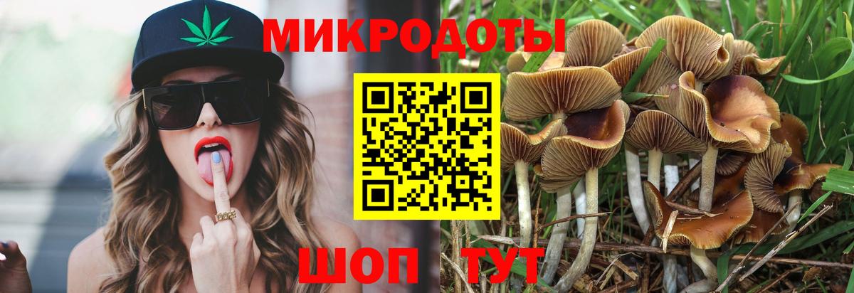 Галлюциногенные грибы прущие грибы Алексин