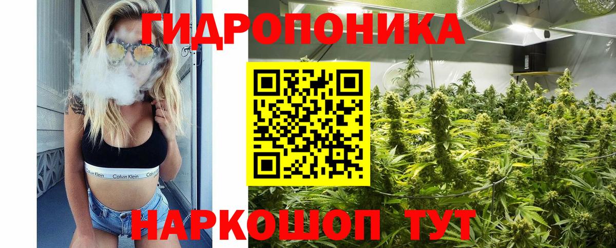 Каннабис гибрид Алексин
